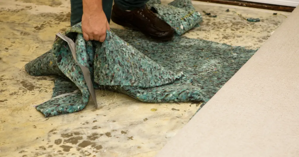 Padding being removed to dry subfloor