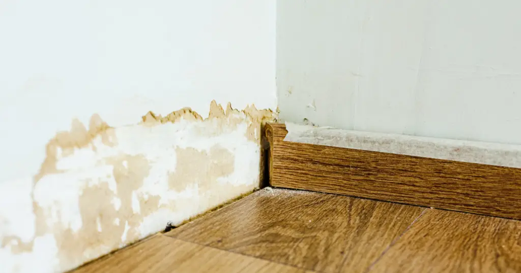 Mold behind baseboard