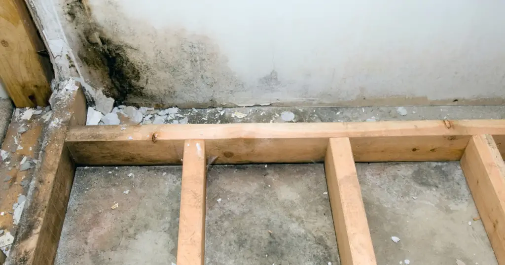 Mold Hiding in the framing