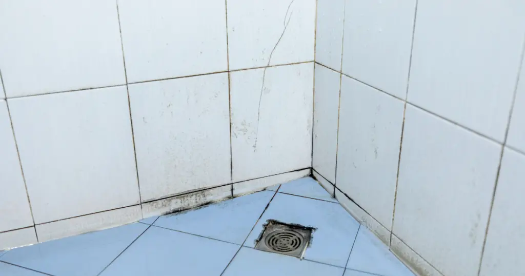 Mold in Shower Tile
