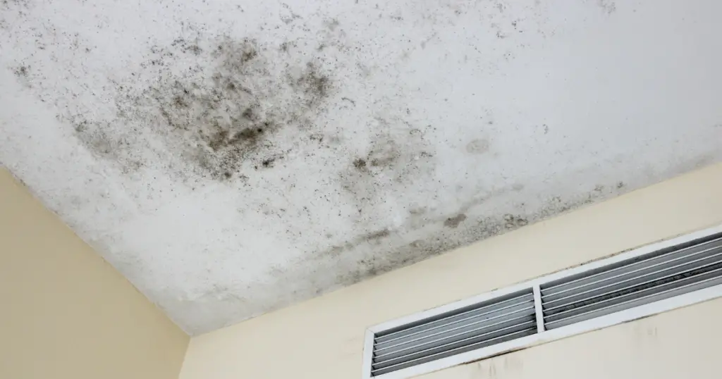 Mold on the ceiling near air vent