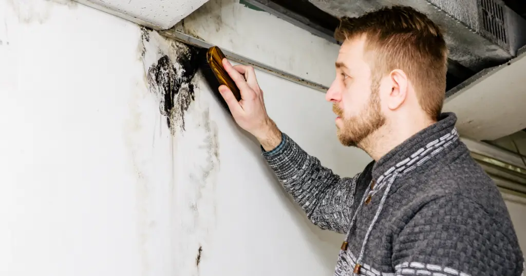 Cleaning mold on wall