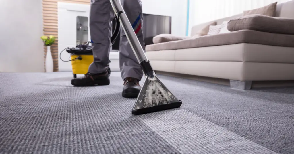 Carpet cleaner doing Hot water Extraction