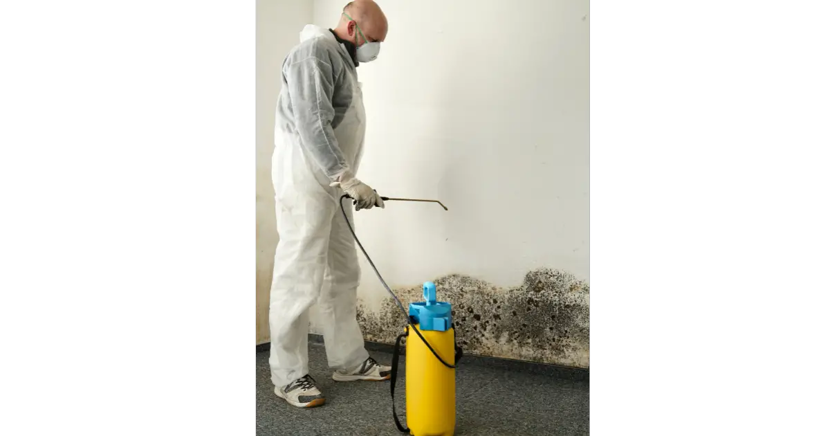 Spraying an antimicrobial to kill mold