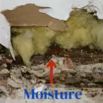 Slab Leak moisture wicking up wall