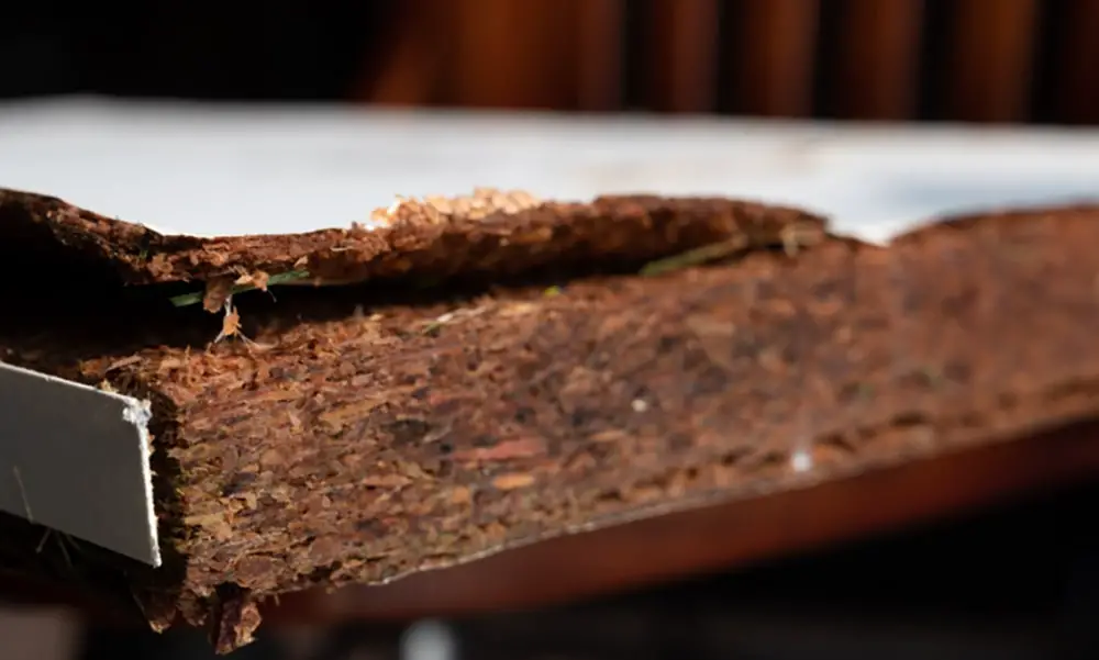 close-up image of water-damaged swelled laminated plywood