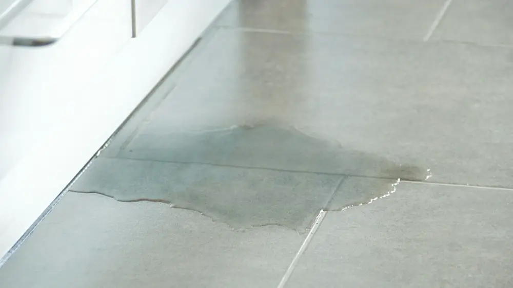 water rising from under a kitchen floor